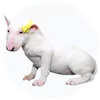 Bull Terrier